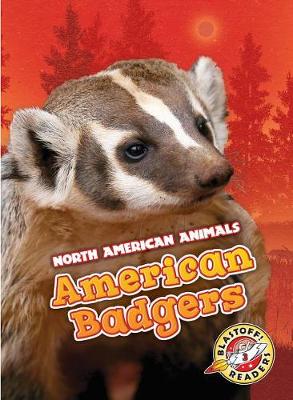 Book cover for American Badgers