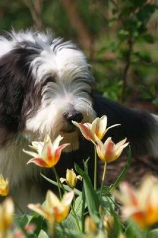 Cover of Bearded Collie Stopping to Smell the Flowers Journal