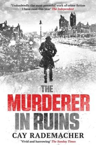 Cover of The Murderer in Ruins