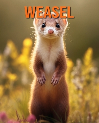 Book cover for Weasel