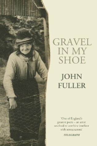 Cover of Gravel in my Shoe