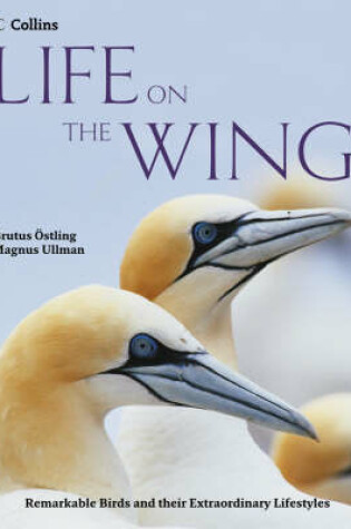 Cover of Life on the Wing