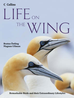 Book cover for Life on the Wing