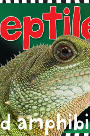 Cover of Smart Kids Reptiles