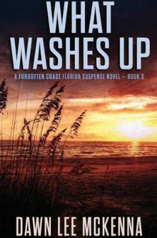 Cover of What Washes Up