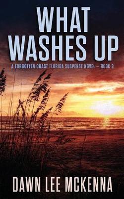Book cover for What Washes Up