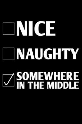 Book cover for Nice Naughty Somewhere In The Middle