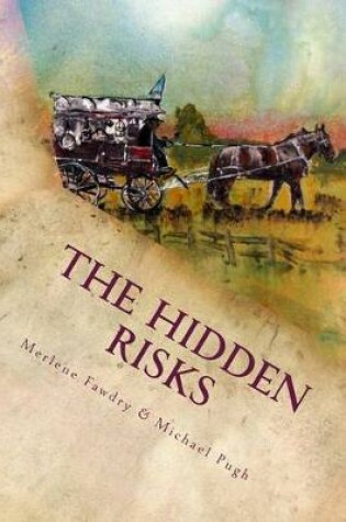 Cover of The Hidden Risks