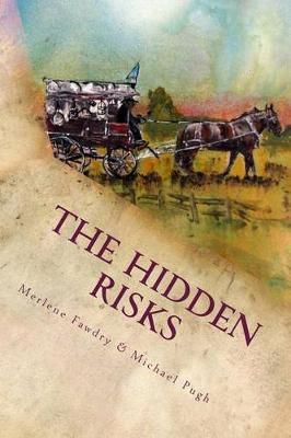 Book cover for The Hidden Risks