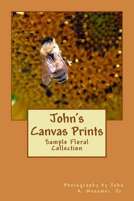 Book cover for John's Canvas Prints