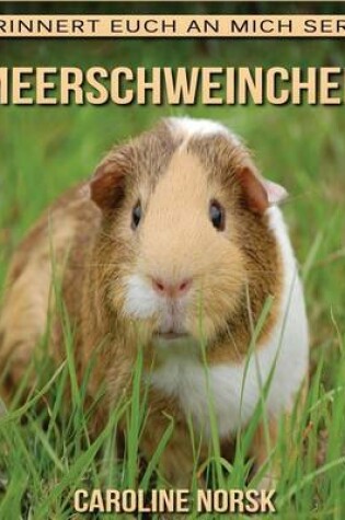 Cover of Meerschweinchen