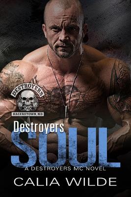 Book cover for Destroyers Soul