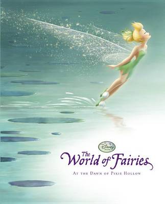 Book cover for Disney Fairies the World of Fairies