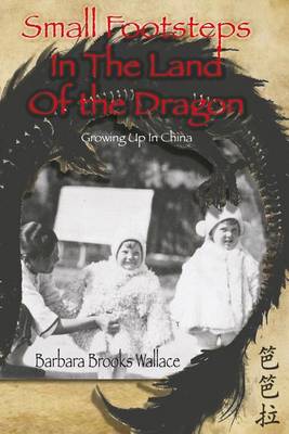 Cover of Small Footsteps In The Land Of The Dragon