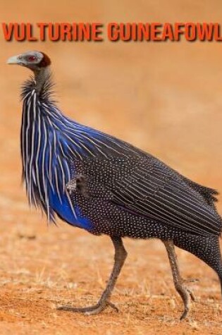 Cover of Vulturine Guineafowl