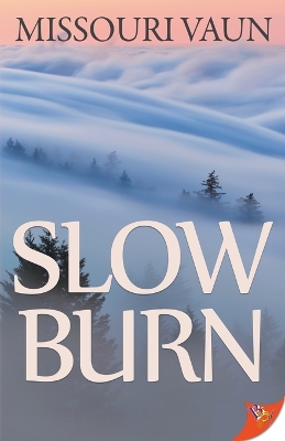 Book cover for Slow Burn