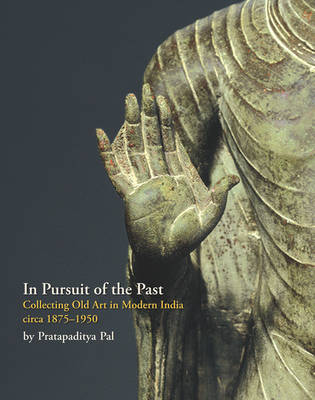 Book cover for In Pursuit of the Past