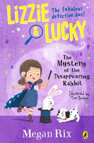 Cover of The Mystery of the Disappearing Rabbit