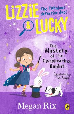 Book cover for The Mystery of the Disappearing Rabbit
