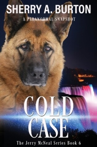 Cover of Cold Case