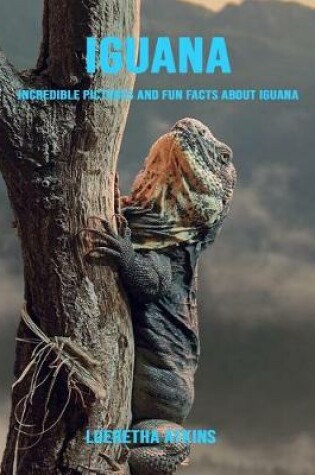 Cover of Iguana