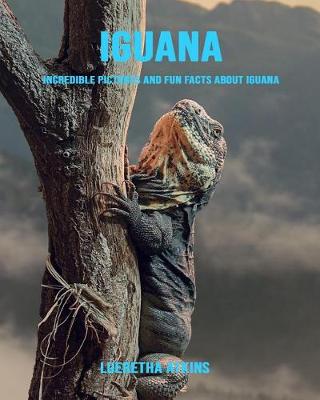 Book cover for Iguana