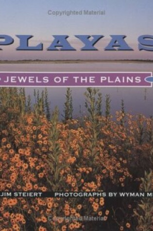 Cover of Playas