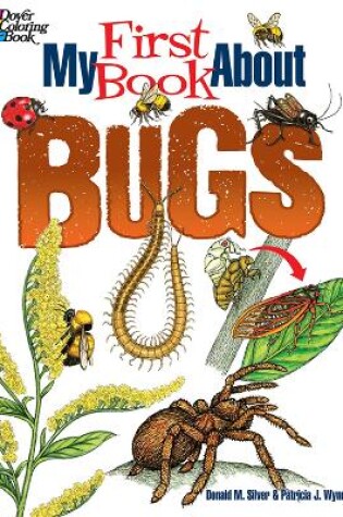 Cover of My First Book About Bugs