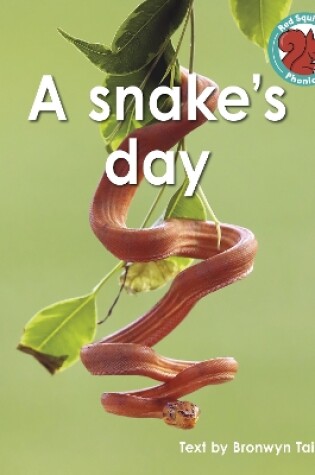 Cover of A snake's day