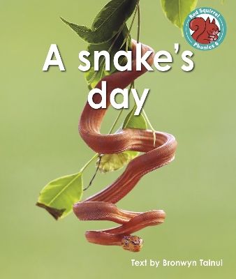 Book cover for A snake's day
