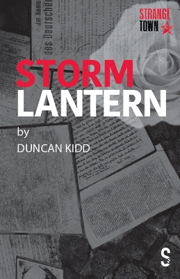 Book cover for Storm Lantern