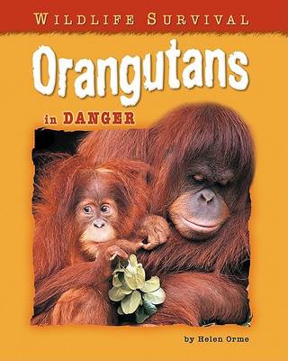 Cover of Orangutans in Danger