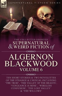 Book cover for The Collected Shorter Supernatural & Weird Fiction of Algernon Blackwood Volume 6