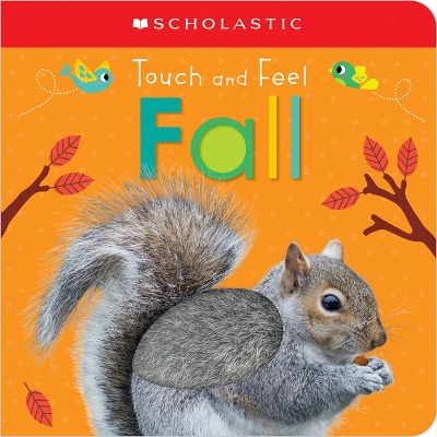 Book cover for Touch and Feel Fall: Scholastic Early Learners (Touch and Feel)