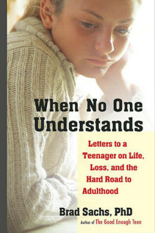 Cover of When No One Understands