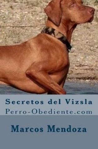 Cover of Secretos del Vizsla