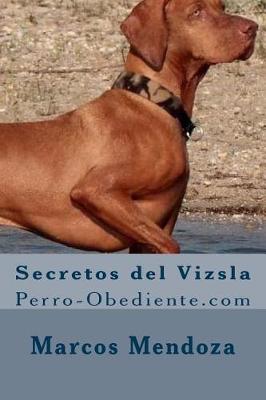 Book cover for Secretos del Vizsla