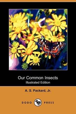 Book cover for Our Common Insects (Illustrated Edition) (Dodo Press)