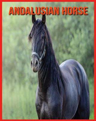 Book cover for Andalusian Horse