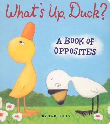 Book cover for What's Up, Duck?