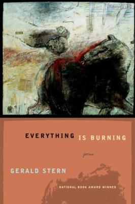Book cover for Everything Is Burning