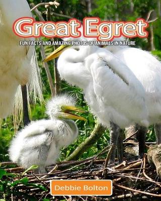 Book cover for Great Egret