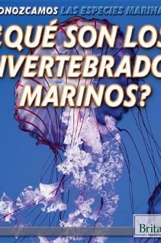 Cover of ¿Qué Son Los Invertebrados Marinos? (What Are Sea Invertebrates?)