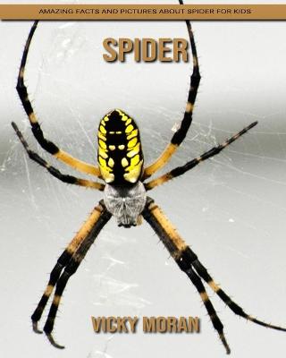 Book cover for Spider