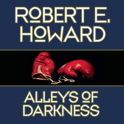 Cover of Alleys Darkness