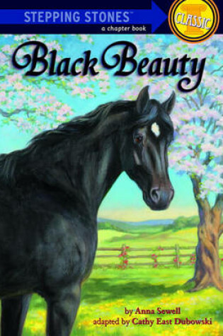 Cover of Black Beauty (Adaptation)