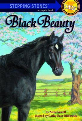 Book cover for Black Beauty (Adaptation)