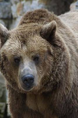 Book cover for Furry Brown Grizzly Bear, for the Love of Animals