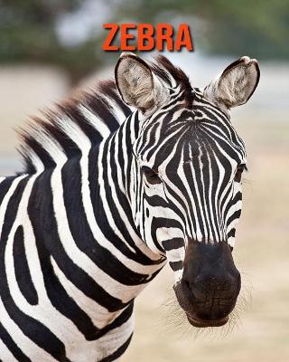 Book cover for Zebra