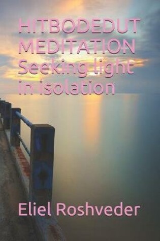 Cover of HITBODEDUT MEDITATION Seeking light in isolation